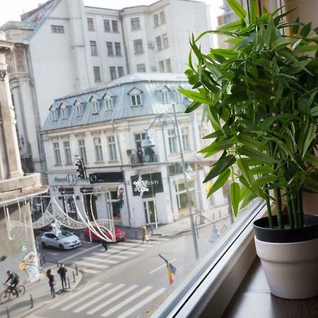 Ideal Apartment 布加勒斯特 外观 照片
